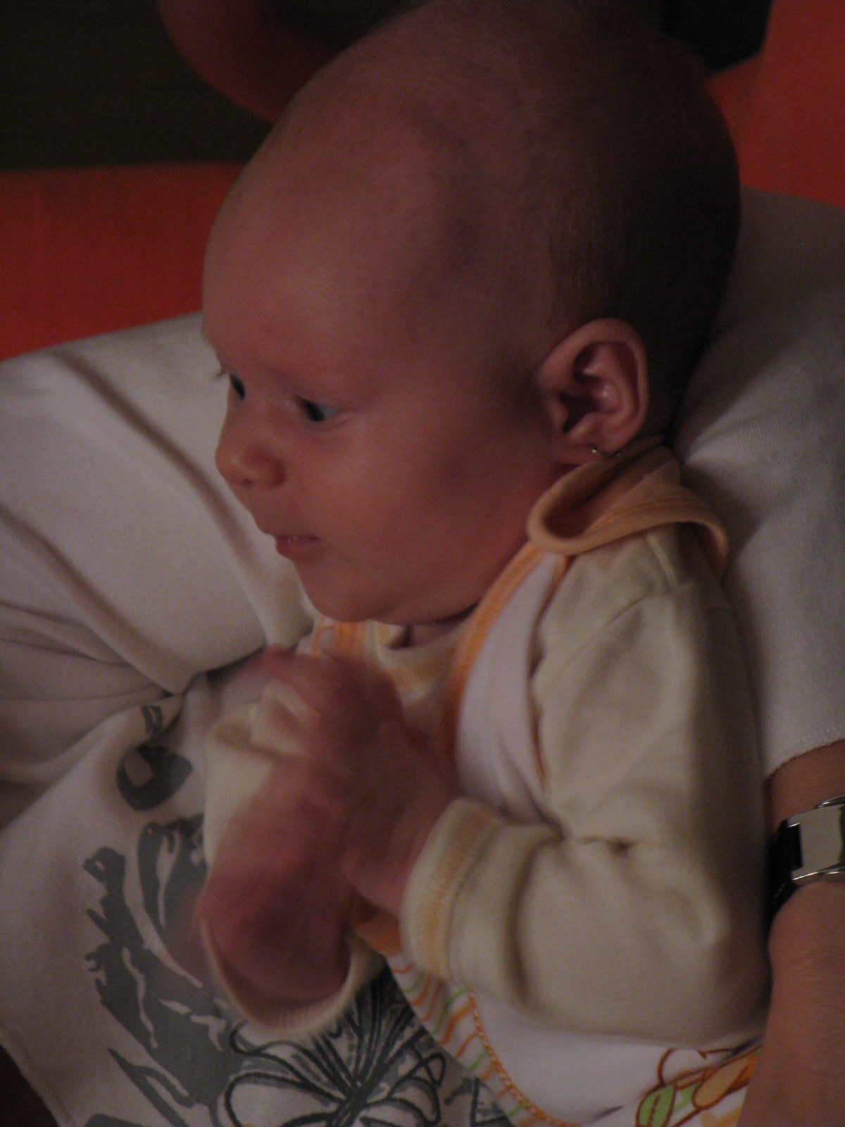 návštěva říjen  2008 038.jpg
