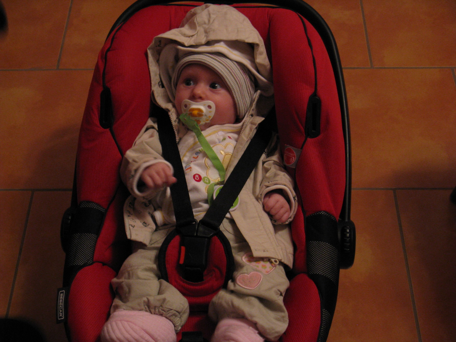 návštěva říjen  2008 052.jpg