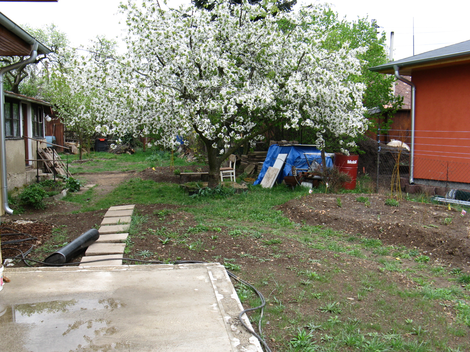 domov 29.4.2009 070.jpg