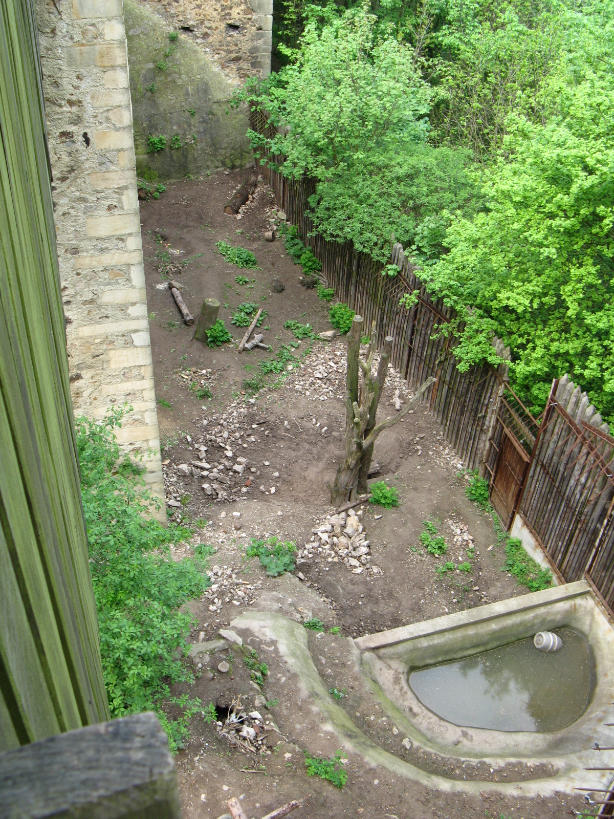 domov 3.5.2009 017.jpg