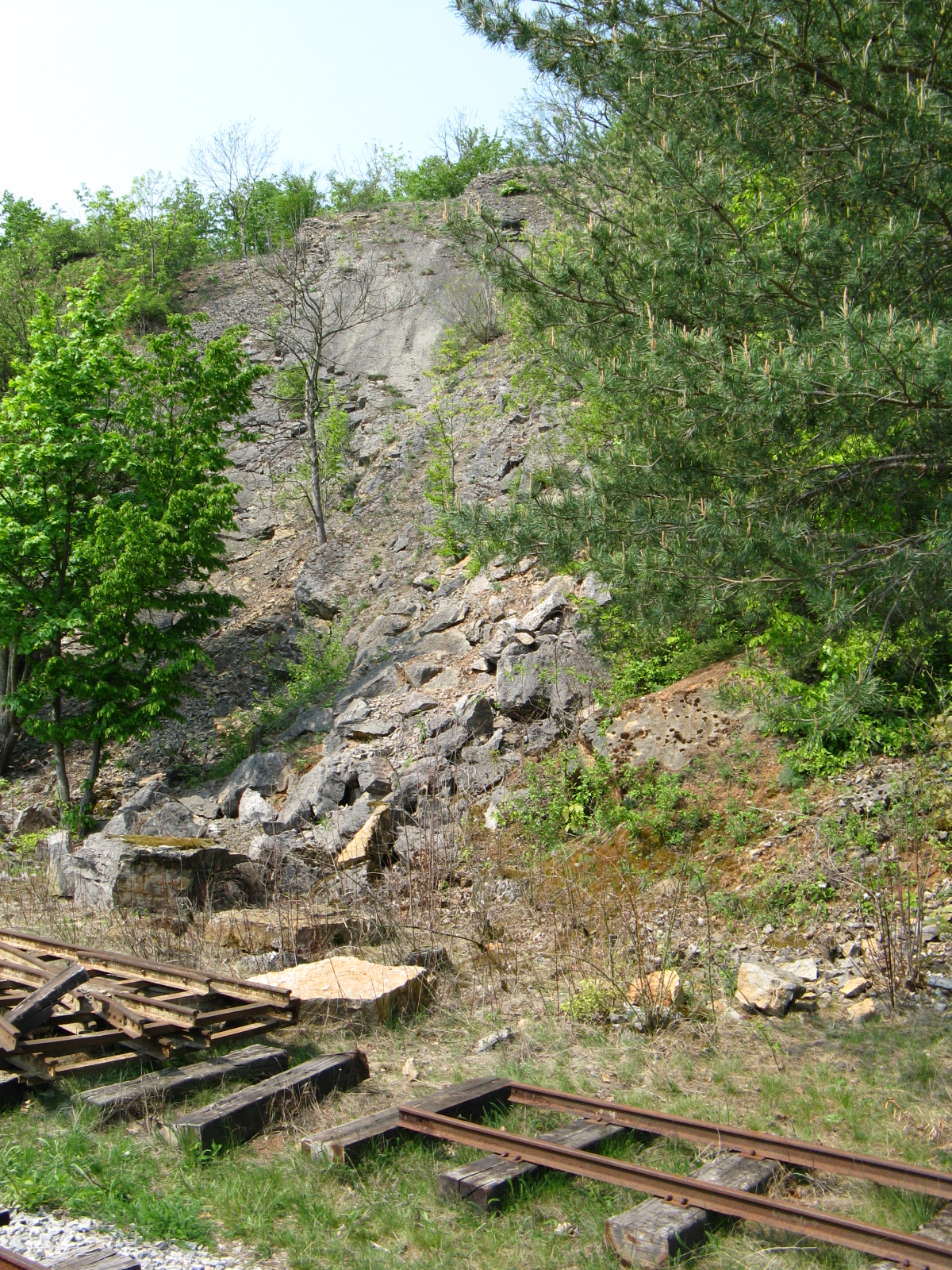 domov 3.5.2009 082.jpg