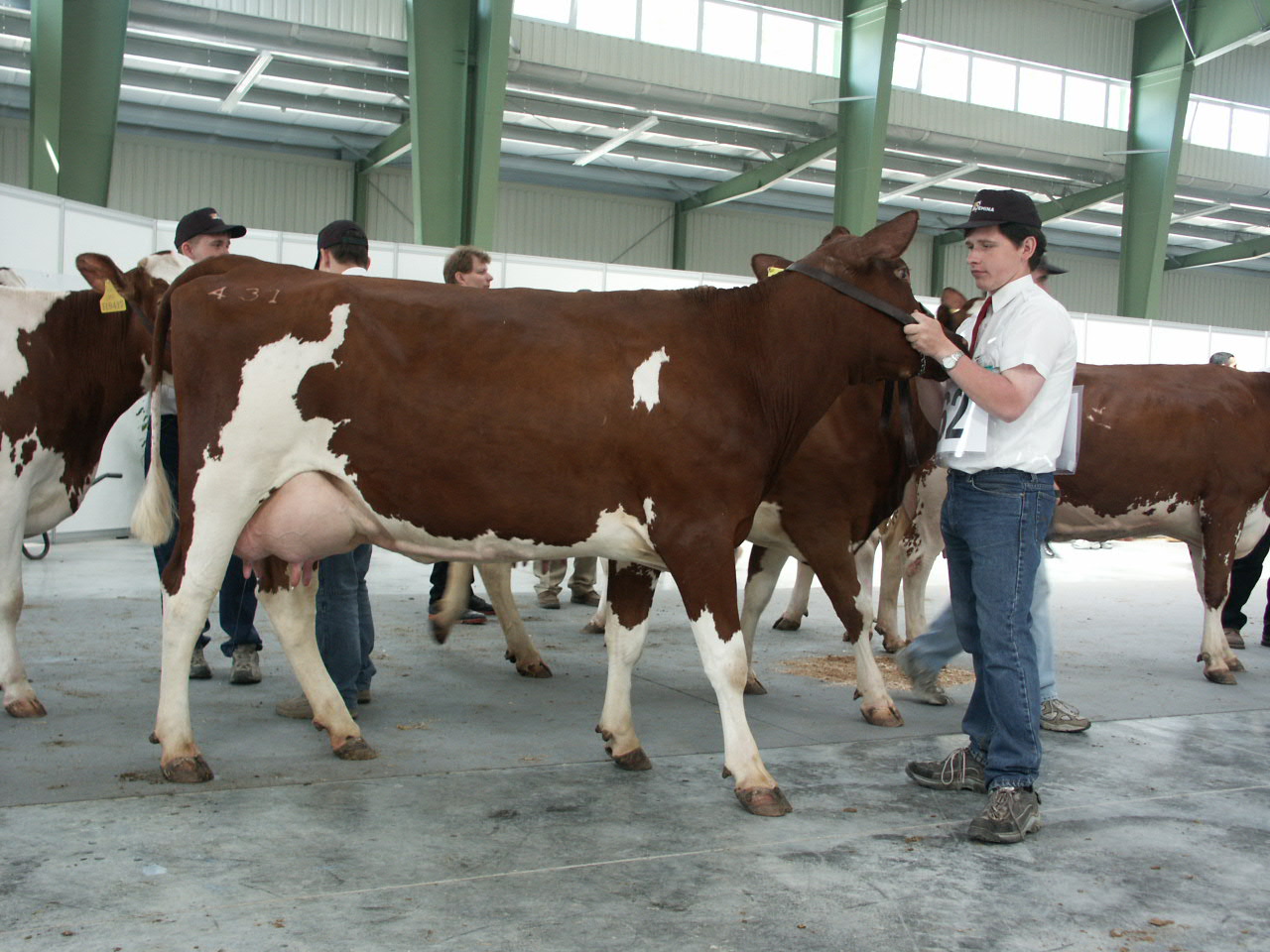 PICT0086.JPG