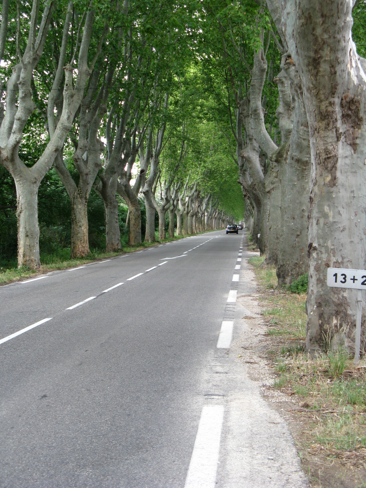 Provance 6.-17.6. 319.jpg
